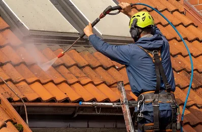 Démoussage et hydrofuge de toiture à Bruebach